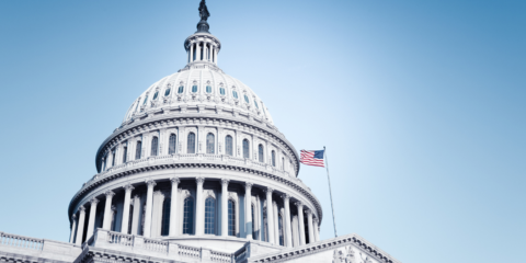 Washington DC Capitol Federal Government USA Flag 1100x550